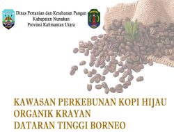 Kawasan Perkebunan Kopi Hijau Organik Daratan Tinggi Krayan