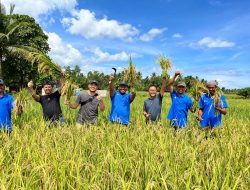 Didukung PT Vale, Milenial Pomalaa Melek Pertanian Organik