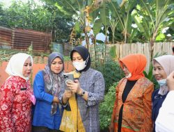Tinjau Lorong Wisata di Jalan Sungai Pareman, Wakil Wali Kota Pastikan Kebutuhan Kelompok Tani Terpenuhi