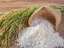 Peringkat 1, Sulsel Suplai 25 Persen Kebutuhan Beras Nasional