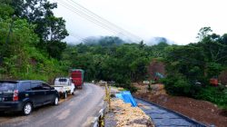 TRUK TERGULING_2