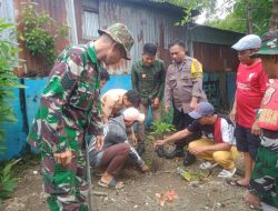 Gotong Royong Penanaman Pohon di Wilayah Koramil 1408-04/Btl